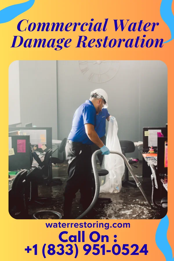 Commercial Water Damage Restoration in Hamilton, MT