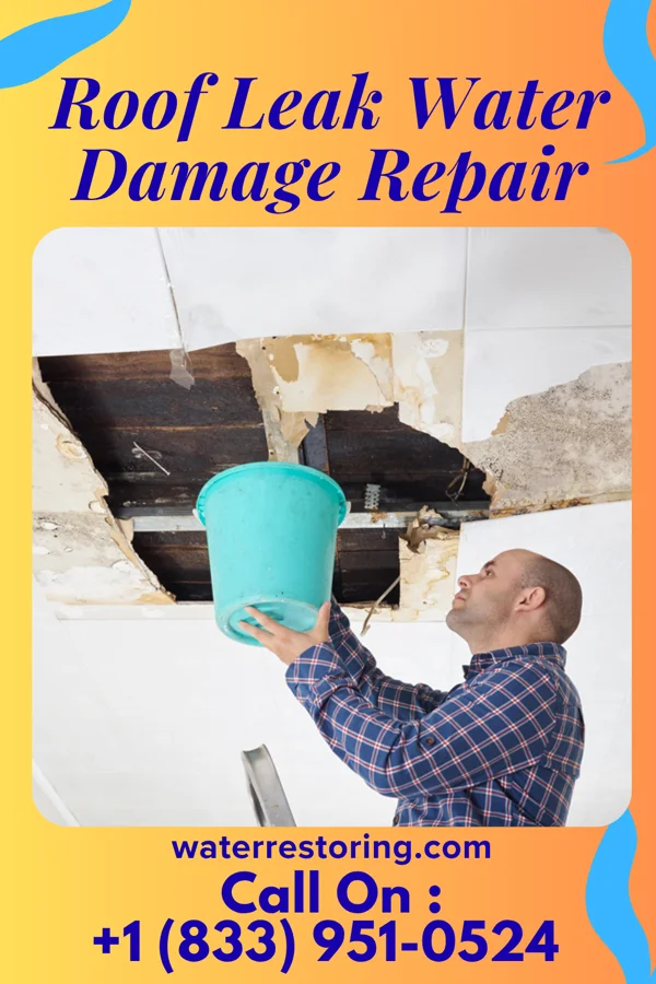 Roof Leak Water Damage Repair in Hamilton, MT